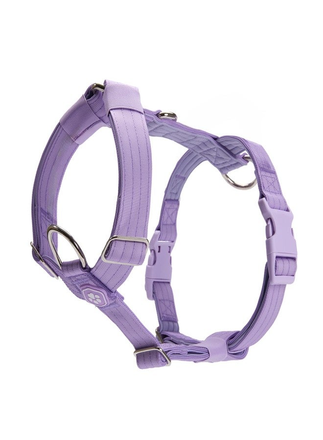 Spark Paws No Pull Dog Harness for Large Dogs, Heavy Duty Dog Harness for Big Strong Breeds, Adjustable, Y Shaped Padded Halter Design with Front Clip - Purple - Large - Image 1