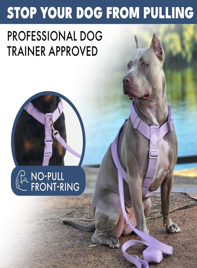Spark Paws No Pull Dog Harness for Large Dogs, Heavy Duty Dog Harness for Big Strong Breeds, Adjustable, Y Shaped Padded Halter Design with Front Clip - Purple - Large - Image 3