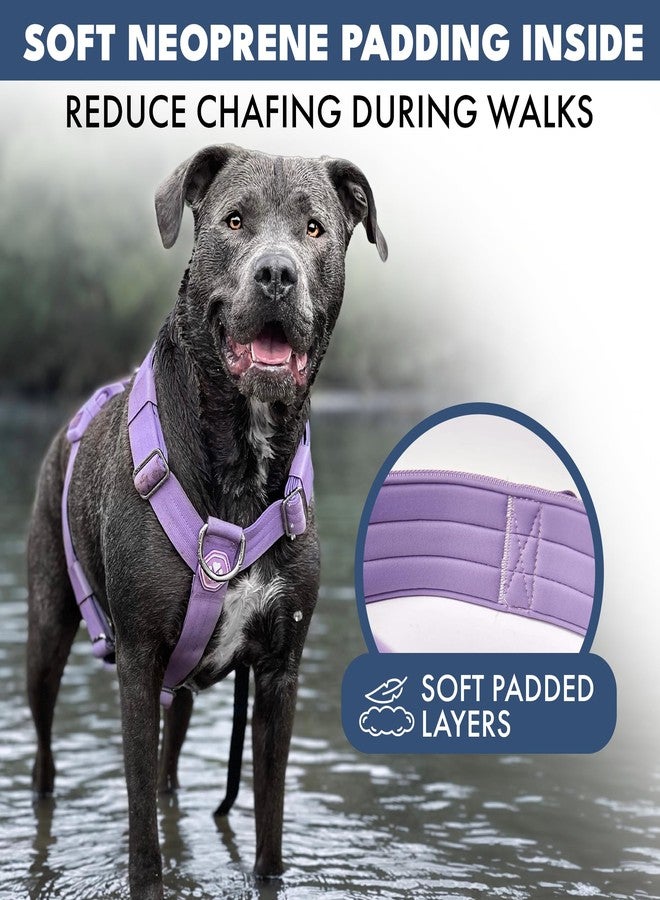 Spark Paws No Pull Dog Harness for Large Dogs, Heavy Duty Dog Harness for Big Strong Breeds, Adjustable, Y Shaped Padded Halter Design with Front Clip - Purple - Large - Image 4