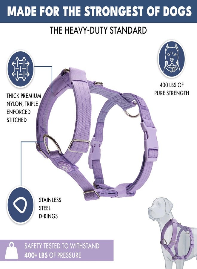 Spark Paws No Pull Dog Harness for Large Dogs, Heavy Duty Dog Harness for Big Strong Breeds, Adjustable, Y Shaped Padded Halter Design with Front Clip - Purple - Large - Image 2
