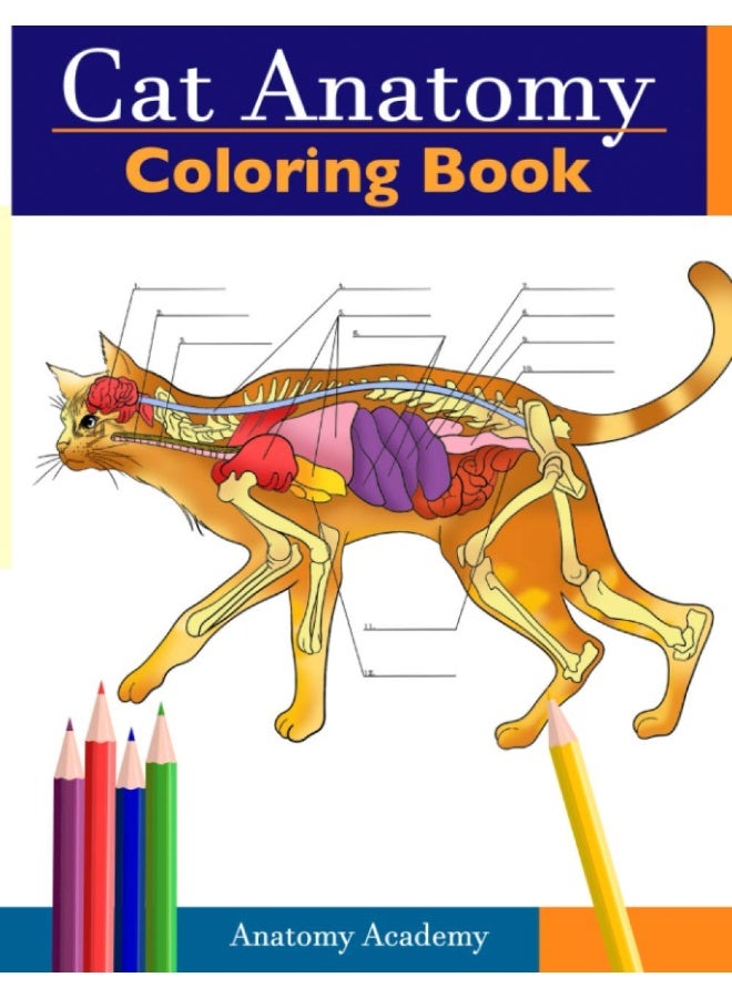 Cat Anatomy Coloring Book: Incredibly Detailed Self-Test Feline Anatomy Color workbook | Perfect Gift for Veterinary Students, Cat Lovers & Adults - Image 1