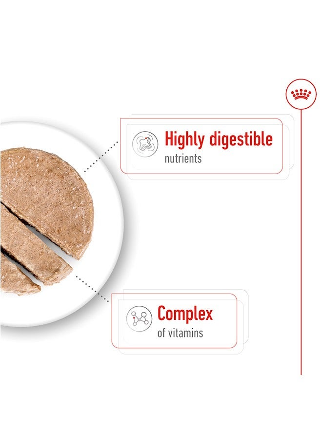 رويال كانين طعام رطب صغير للكلاب البالغة - 195 جرام (عبوة من 12 قطعة) - Image 3