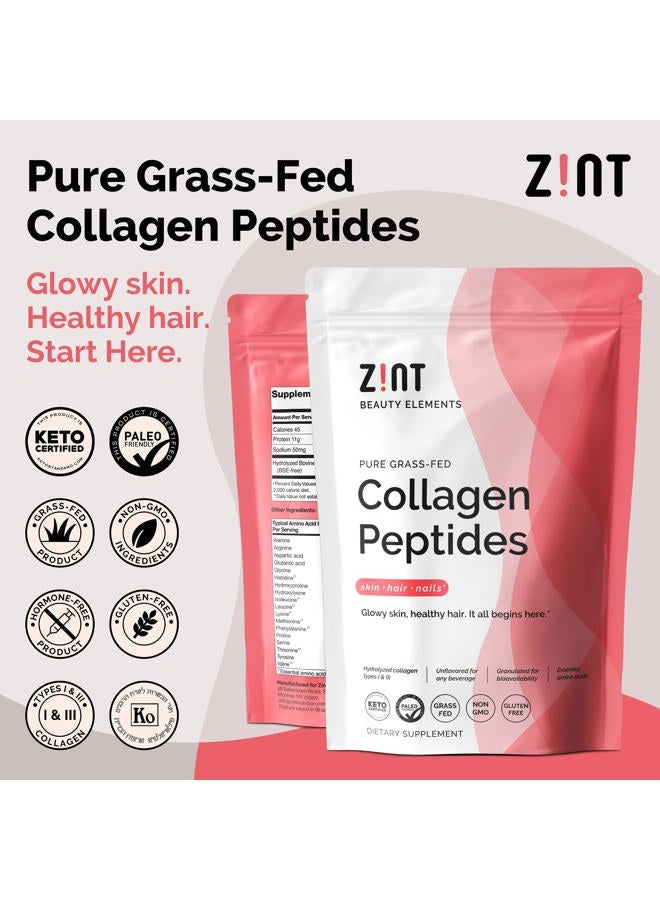Zint مسحوق ببتيدات الكولاجين: معتمد بالباليو والكيتو - كولاجين هيدروكسيليت مجروش لامتصاص معزز - بروتين مهدرج إنزيمي للنساء والرجال، 10 أونصات - Image 2