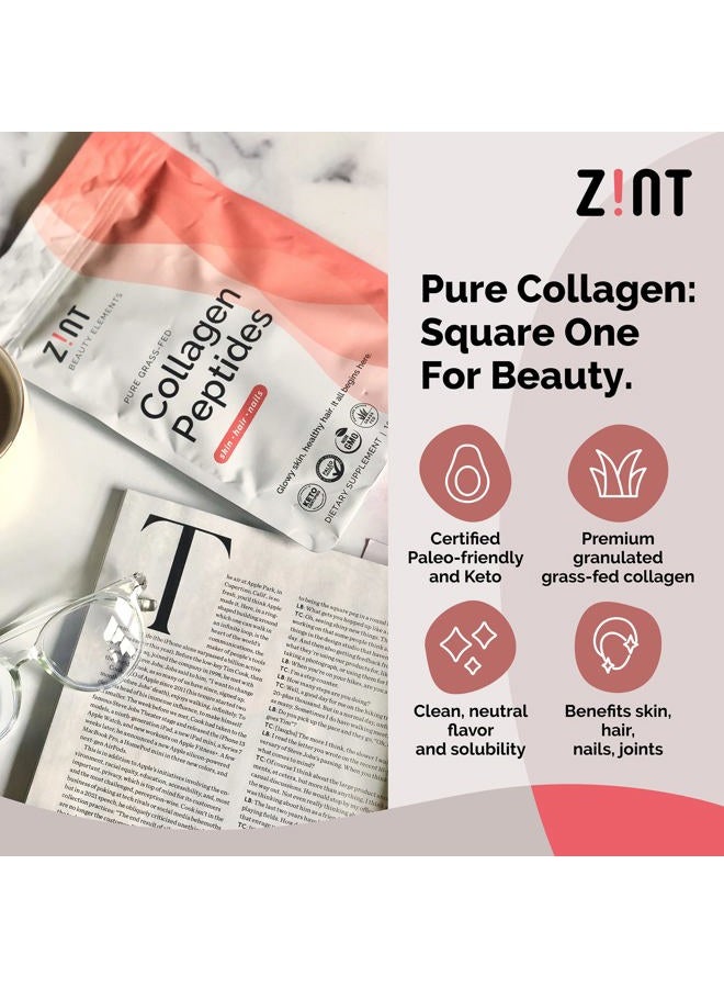 Zint مسحوق ببتيدات الكولاجين: معتمد بالباليو والكيتو - كولاجين هيدروكسيليت مجروش لامتصاص معزز - بروتين مهدرج إنزيمي للنساء والرجال، 10 أونصات - Image 3