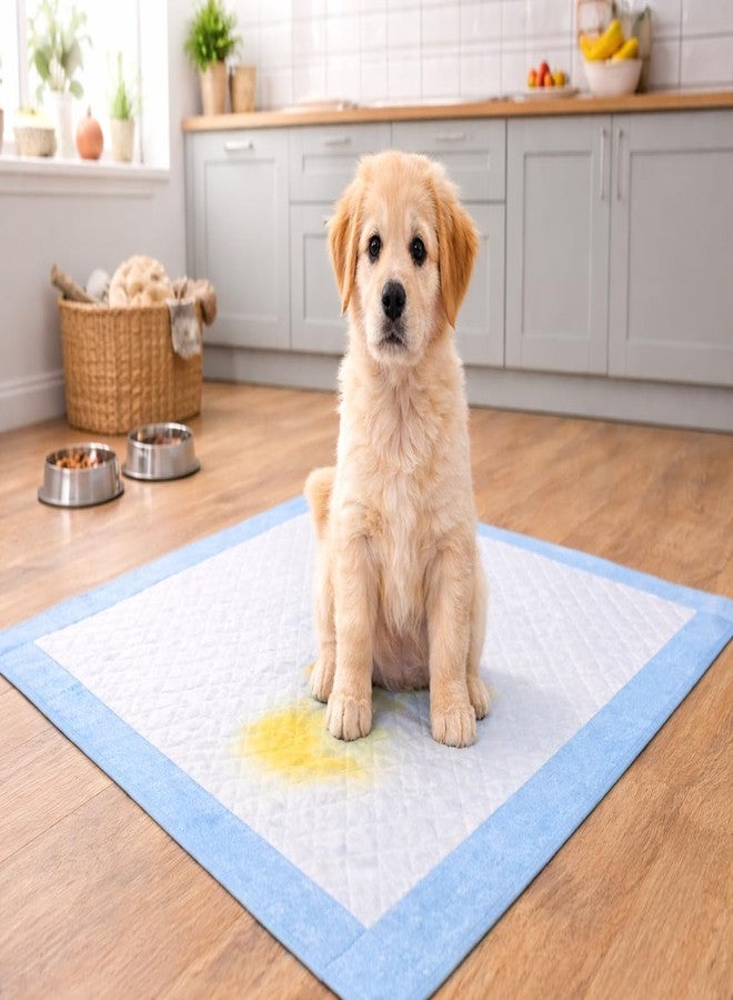 PetWag Pet Toilet Training Pad - (45 X 60 cm) - 10 Pads - Image 5