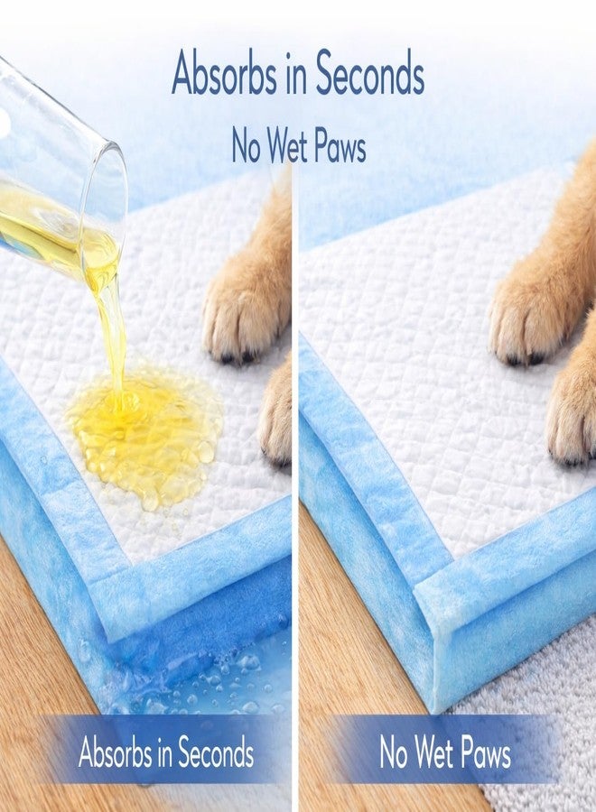 PetWag Pet Toilet Training Pad - (45 X 60 cm) - 10 Pads - Image 3