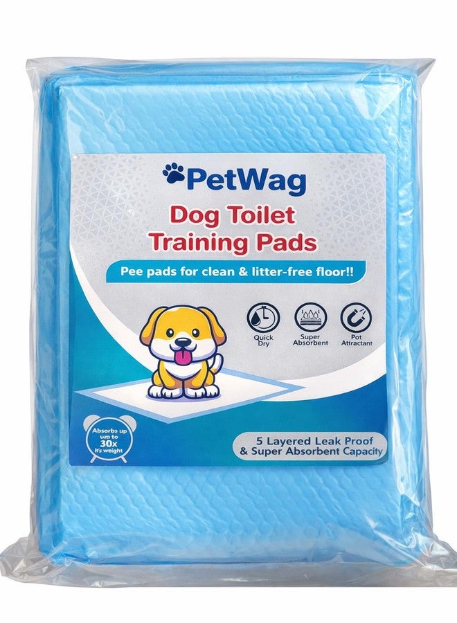 PetWag Pet Toilet Training Pad - (45 X 60 cm) - 10 Pads - Image 1