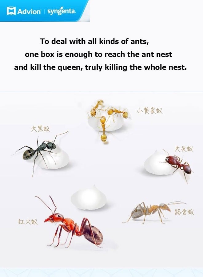 Cockroach أنبوب جل النمل الأبيض 30 جرام - Image 5