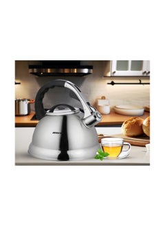 Steel kettle 2.7 liter Arshia 1619 - pzsku/Z9C84813A9A321DA946E7Z/45/_/1733922662/f575496a-4350-4bc3-82aa-1146f814924a