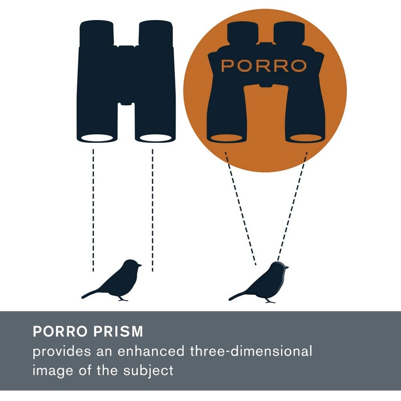 Celestron 72252 Ultima 8 x 42 Porro Prism Binocular, Fully Multi-Coated Lens, BaK-4 Prism Glass, Black - Image 2