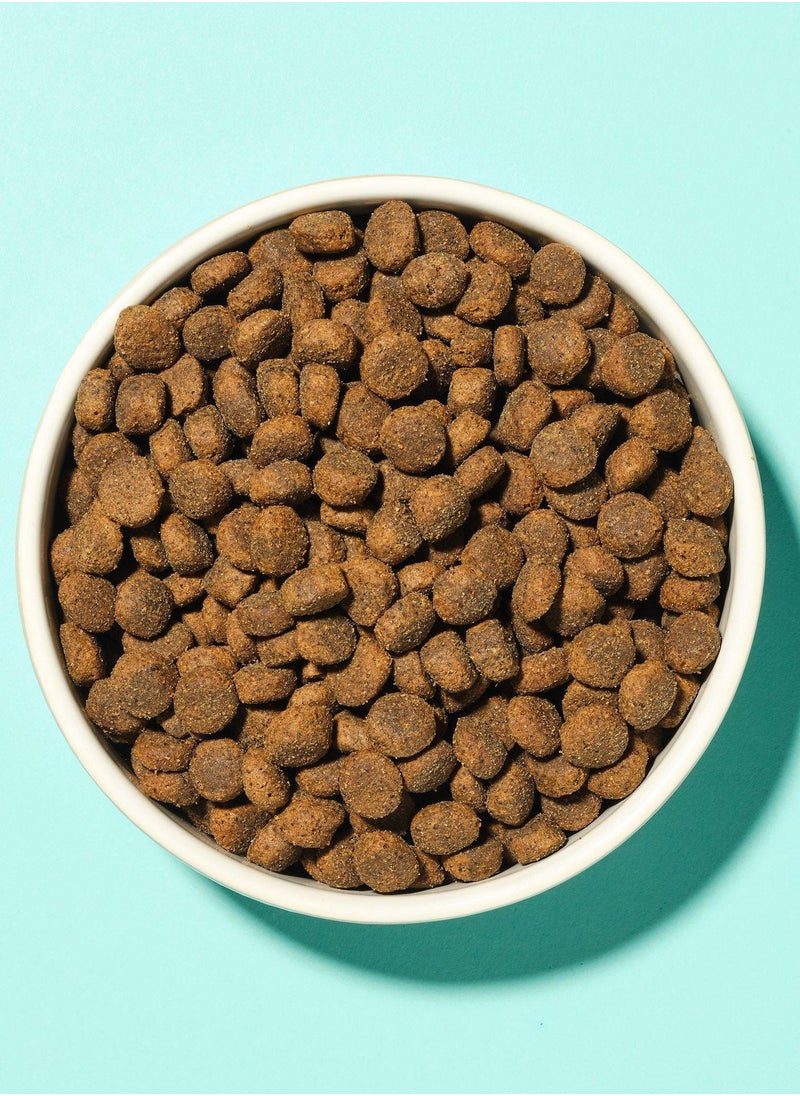 Pooch & Mutt - Joint Care Complete Dog And Puppy Dry Food 10Kg - Image 1