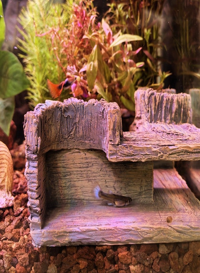 M2cbridge Aquarium Cave Betta Tunnel Driftwood Corners Shrimp House Hideout for Cichlid Breeding(Tree Trunk) - Image 3