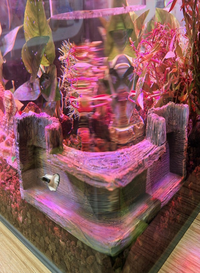 M2cbridge Aquarium Cave Betta Tunnel Driftwood Corners Shrimp House Hideout for Cichlid Breeding(Tree Trunk) - Image 5