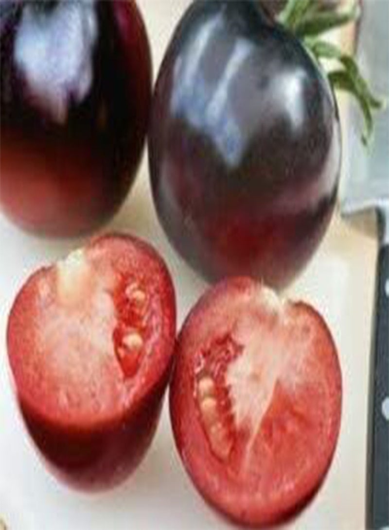 جي جوت بذور الطماطم النباتية، طماطم النيلي الوردي، الطماطم السوداء