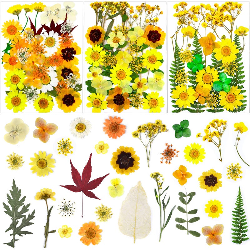 LUCISKY 93 Pcs Yellow Dried Pressed Flowers Real Natural Leave Petals for DIY Resin Candle Jewelry Nail Crafts