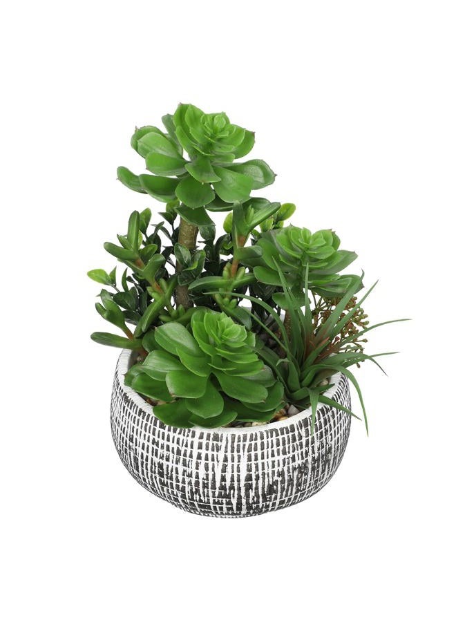 Villa Como 10” Large Succulents Plants Artificial in Ceramic Pots Potted Faux Succulent Arrangement with Black Bowl Pots Fake Desk Succulents Plants for Home Bathroom Shelf Table Indoor Decor - Image 1