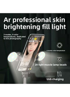 General R6 Live Light Selfie Light R7 Bracket Anchor Light R9 Double Fill Light Tripod Selfie Stick Trembles Net Red Bracket-Color:R9 Double Light Selfie Stick  - Image 3