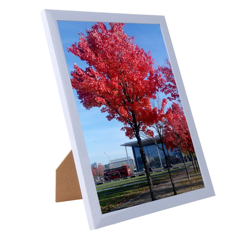 Medog 8x10 Picture Frame White  Display Pictures 8x10 Document Certificate Frames Gallery Collage Photo Frame Off-White 1Pack - Image 1
