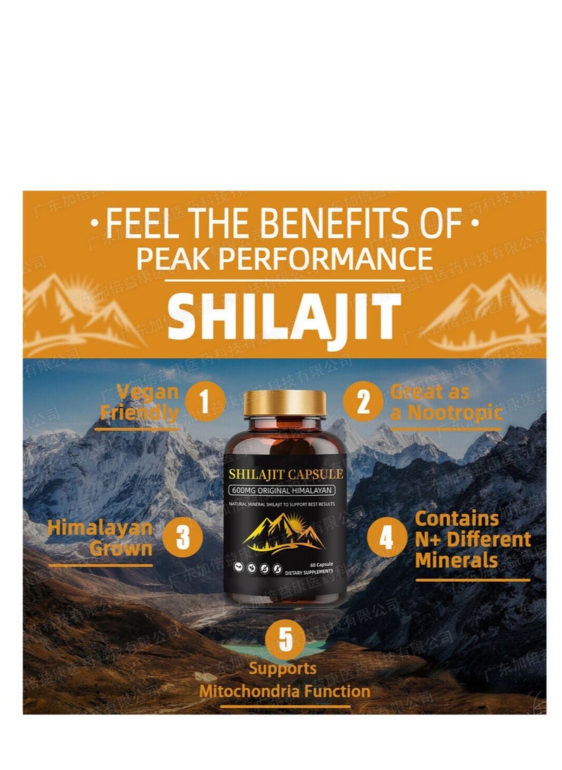 Shilajit RX - Himalayan Shilajit Capsules (Shilajeet) for Men and Women - 600 mg Equivalent - Natural Energy & Stamina Booster - 60 Veg Capsules - Fulvic Mineral Supplement - Image 1