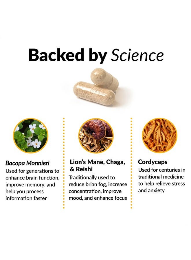 Force Factor Forebrain Focus Brain Booster, Brain Supplement to Boost Clarity & Concentration, for Memory & Sharpness & Increase Productivity, Nootropic Brain Support Supplement, 60 Capsules, Black (FFS-00923-FG) - Image 3