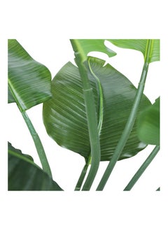 Generic Travellers Palm Faux Plant Artificial (Banana Leaves) Plant With 08 Leaves, 120 cm  - Image 4