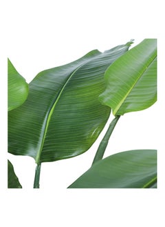 Generic Travellers Palm Faux Plant Artificial (Banana Leaves) Plant With 08 Leaves, 120 cm  - Image 2