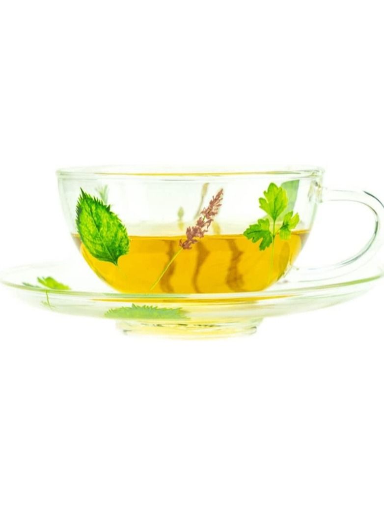 تيلاند كوب وصحن زجاجي من البورسليكات لطيف مقاوم للحرارة