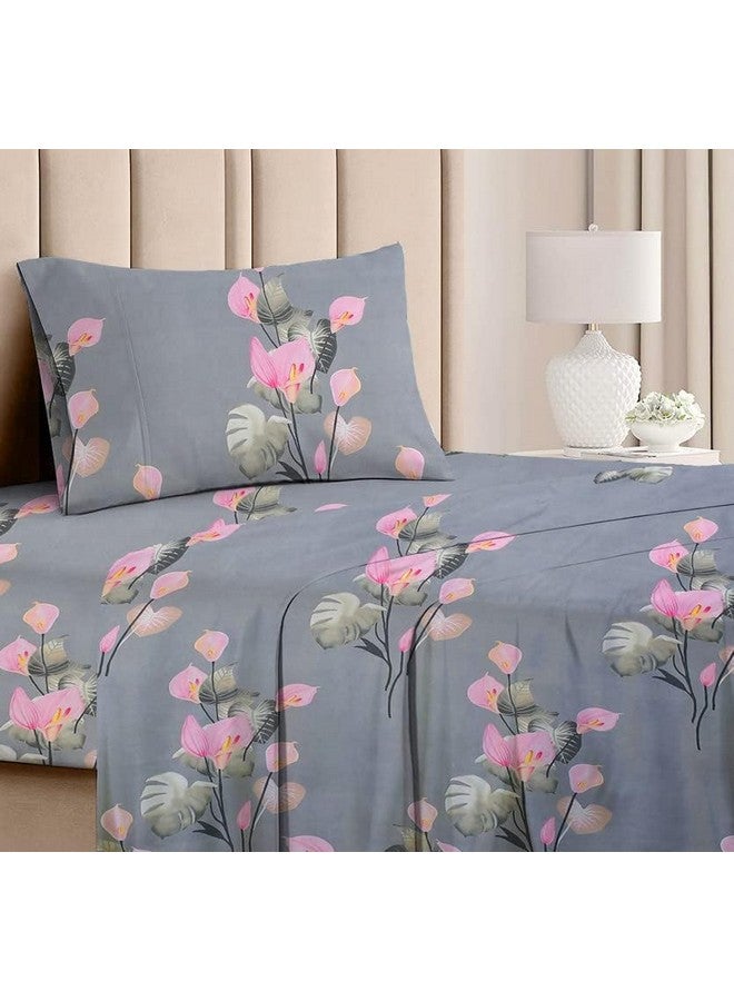 BSB HOME BSB HOME Premium Forever Modern Style Glace Cotton Floral Luxurious Beautiful Soft Comfort Designer Floral Pattern 1 Single Size Bed bedsheet and 1 Pillow Cover- Grey & Pink Flower  - Image 2
