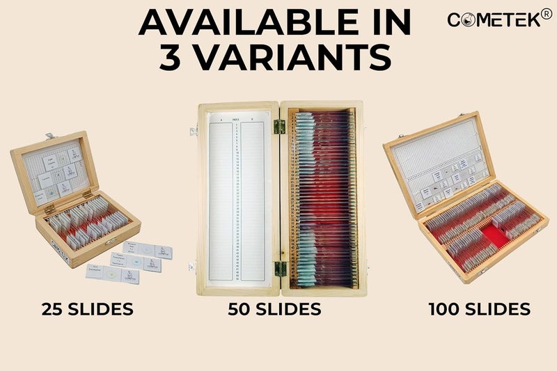 Comet مجموعة شرائح المجهر الجاهزة من 25 في صندوق خشبي – شرائح تعليمية في علم الأحياء، علم الحيوان وعلم الأنسجة للطلاب والمدارس - Image 3