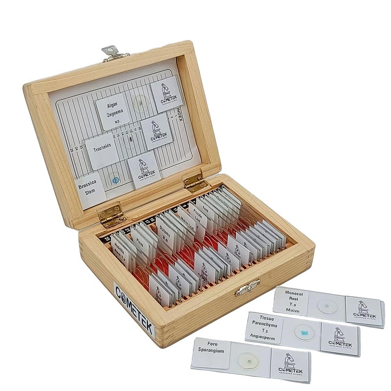 Comet مجموعة شرائح المجهر الجاهزة من 25 في صندوق خشبي – شرائح تعليمية في علم الأحياء، علم الحيوان وعلم الأنسجة للطلاب والمدارس - Image 1