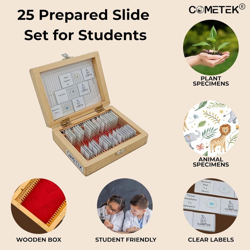 Comet مجموعة شرائح المجهر الجاهزة من 25 في صندوق خشبي – شرائح تعليمية في علم الأحياء، علم الحيوان وعلم الأنسجة للطلاب والمدارس - Image 2