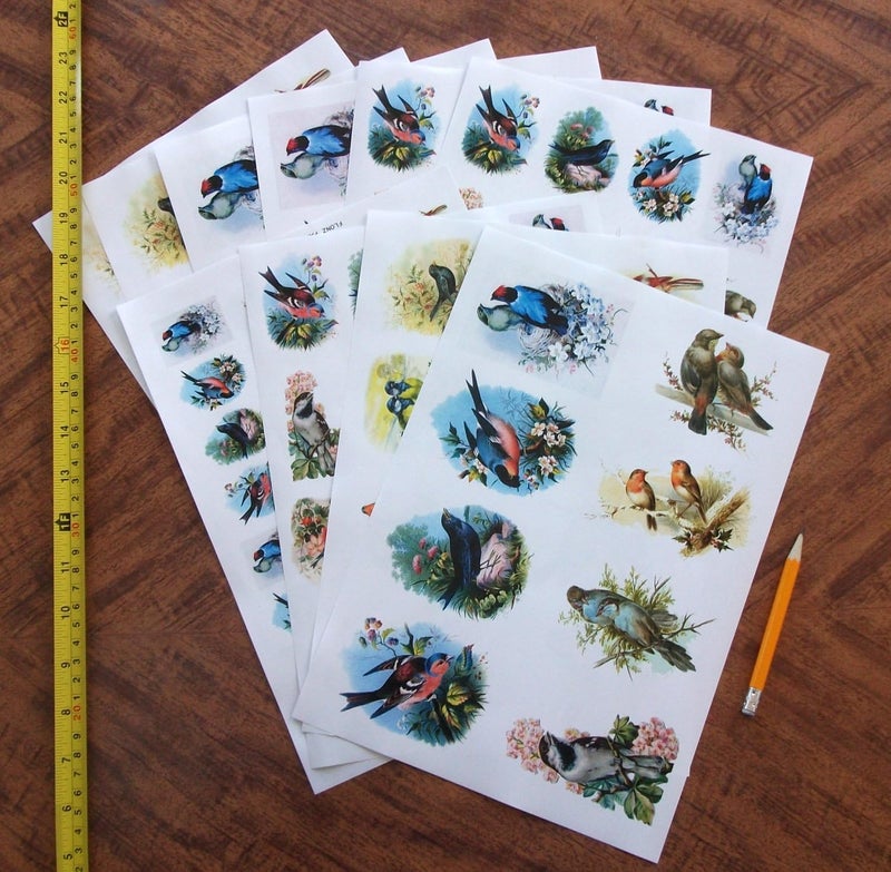 Flonz Decoupage Paper Pack (10sheets A4 / 8"x12") Beautiful Birds Vintage Paper - Image 2