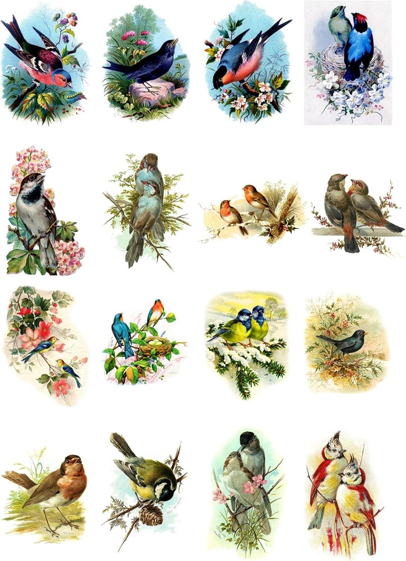 Flonz Decoupage Paper Pack (10sheets A4 / 8"x12") Beautiful Birds Vintage Paper - Image 1