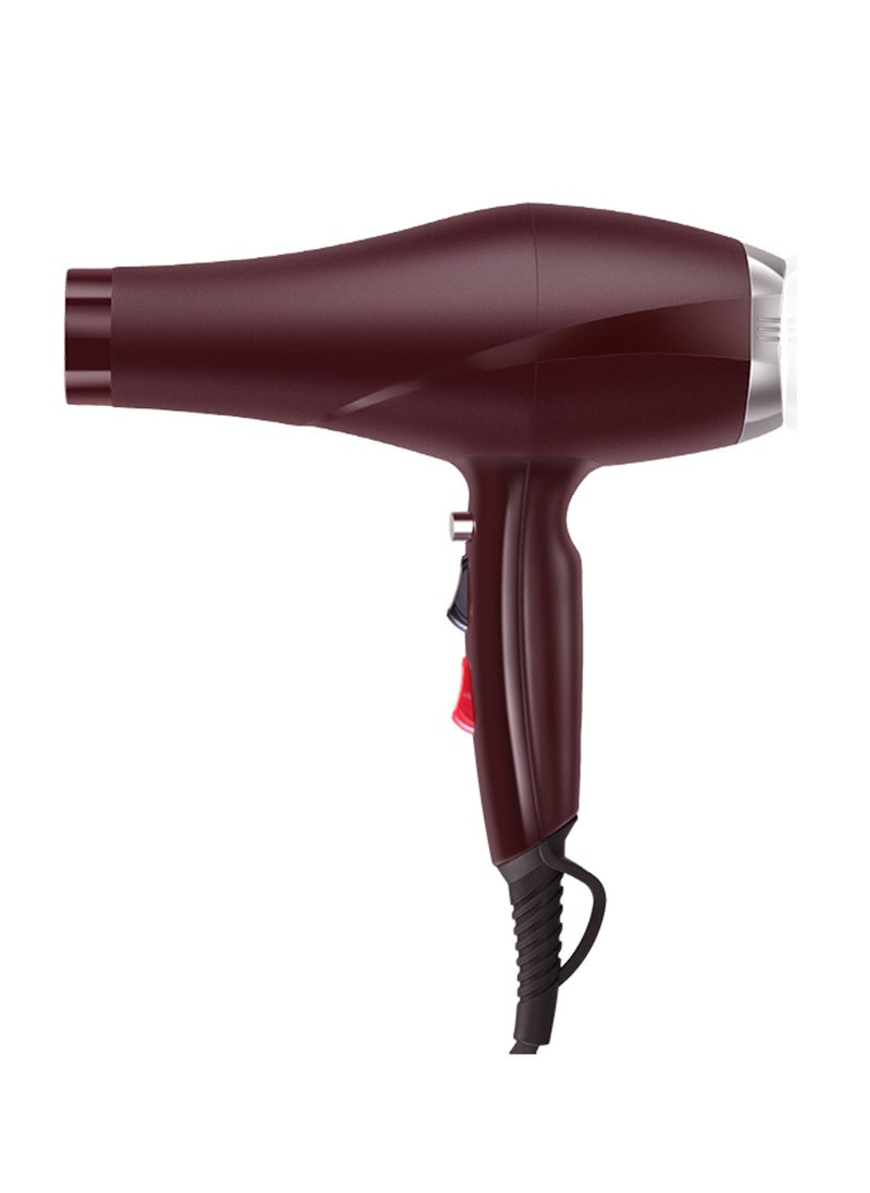 ENZO - ENZO professional AC motor hair dryer EN-6103 hot sale - Image 1