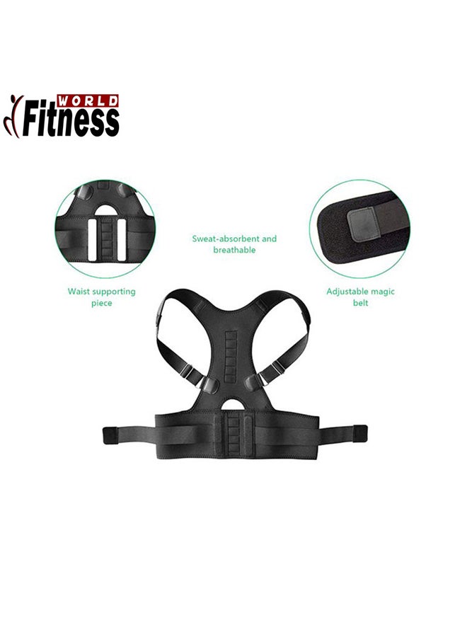 Magnetized Corset Alleviates Back Pain - Image 3