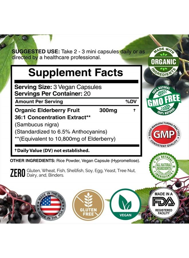 American Standard Supplements Elderberry European Organic 10,800mg [2 PACK] - Immune Support Immune System Booster, Elderberry Capsule, Black Elderberry for Immunity Support, Alternative to Elderberry Gummies, Elderberry Syrup - Image 2