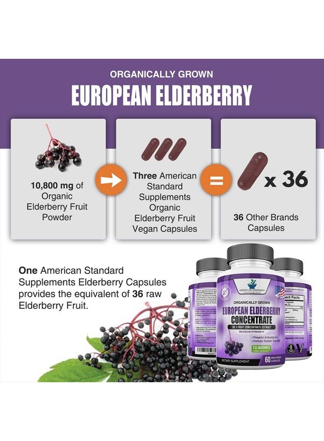 American Standard Supplements Elderberry European Organic 10,800mg [2 PACK] - Immune Support Immune System Booster, Elderberry Capsule, Black Elderberry for Immunity Support, Alternative to Elderberry Gummies, Elderberry Syrup - Image 4