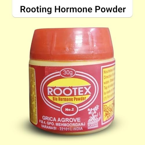 Petalzone Rootex | Fast Root Dry Powder Rooting Hormone for All Plants Grow Nutritions | Pack of 1 | 30 gram (ROOTEX NO.2) - Image 4