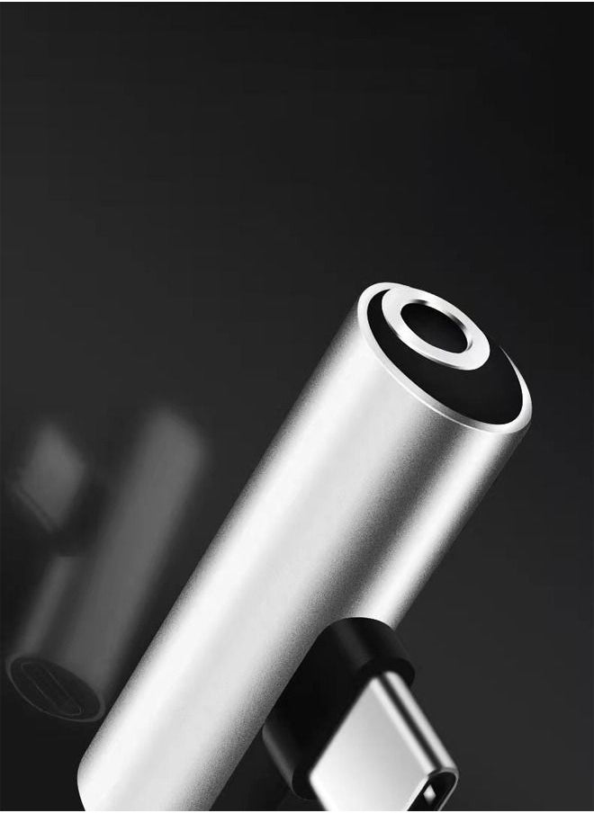 Ant - 2 in 1 USB C to 3.5mm Headphone and Charger Adapter, Type-C to Hi-Res 3.5mm Audio with PD Fast Charge (Silver) - Image 1