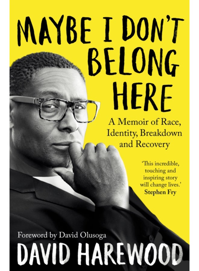 Maybe I Don't Belong Here : A Memoir of Race, Identity, Breakdown and Recovery 