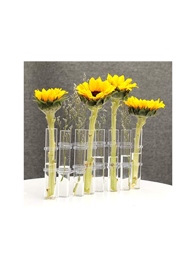 The Bros Crystal Glass Test Tube Vase Flower Pots Desktop Plant Terrarium DIY 8 Hydroponic Plants Home Garden Decoration with Brush 18x3cm - Image 5