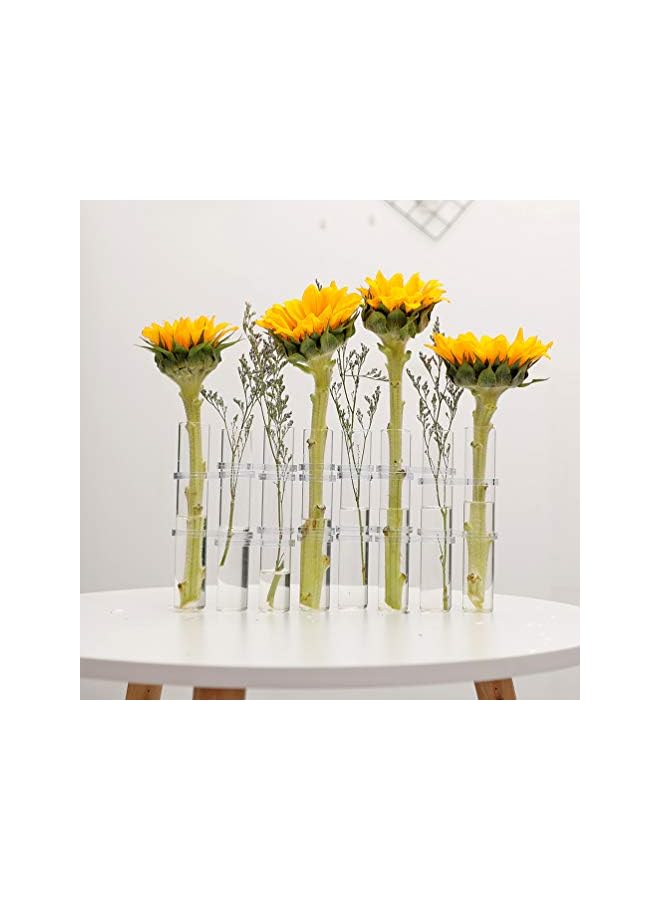 The Bros Crystal Glass Test Tube Vase Flower Pots Desktop Plant Terrarium DIY 8 Hydroponic Plants Home Garden Decoration with Brush 18x3cm - Image 4