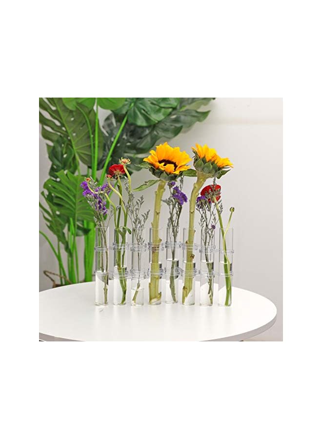 The Bros Crystal Glass Test Tube Vase Flower Pots Desktop Plant Terrarium DIY 8 Hydroponic Plants Home Garden Decoration with Brush 18x3cm - Image 3