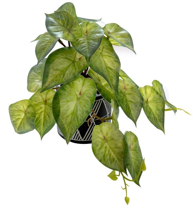 Faux Plant Decor Potted Artificial Small Greenery Ivy Leaves Plants with Black and White Geometry Patterns Cement Pot for Office Desk Home Kitchen Decoration Ivy Leaf