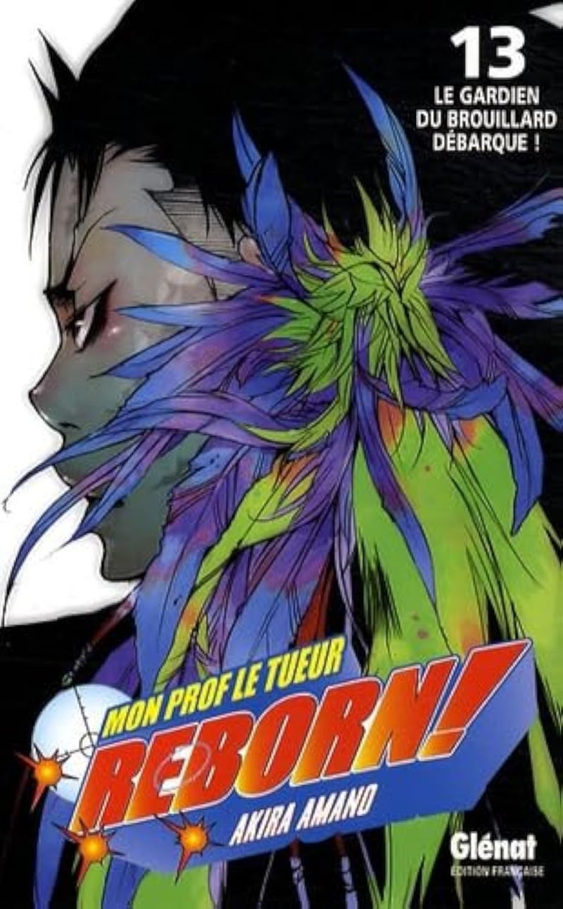 Reborn - Tome 13: Le gardien du brouillard débarque !