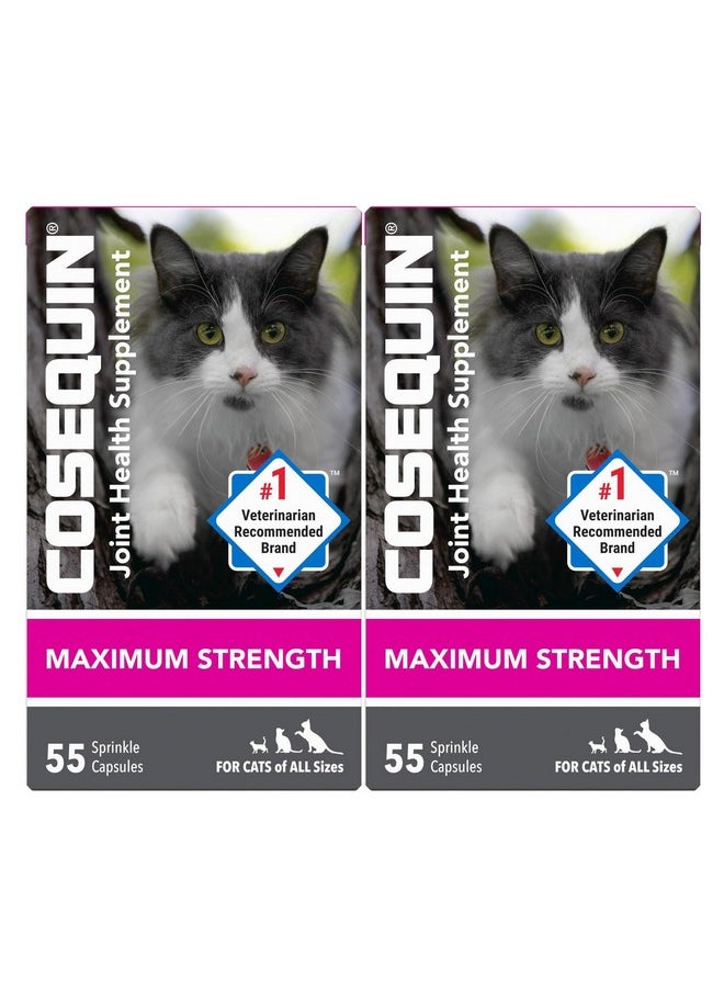 Nutramax Laboratories Nutramax Laboratories Cosequin Joint Health Supplement for Cats - With Glucosamine and Chondroitin, 2 Pack, 110 Total Capsules  - Image 1