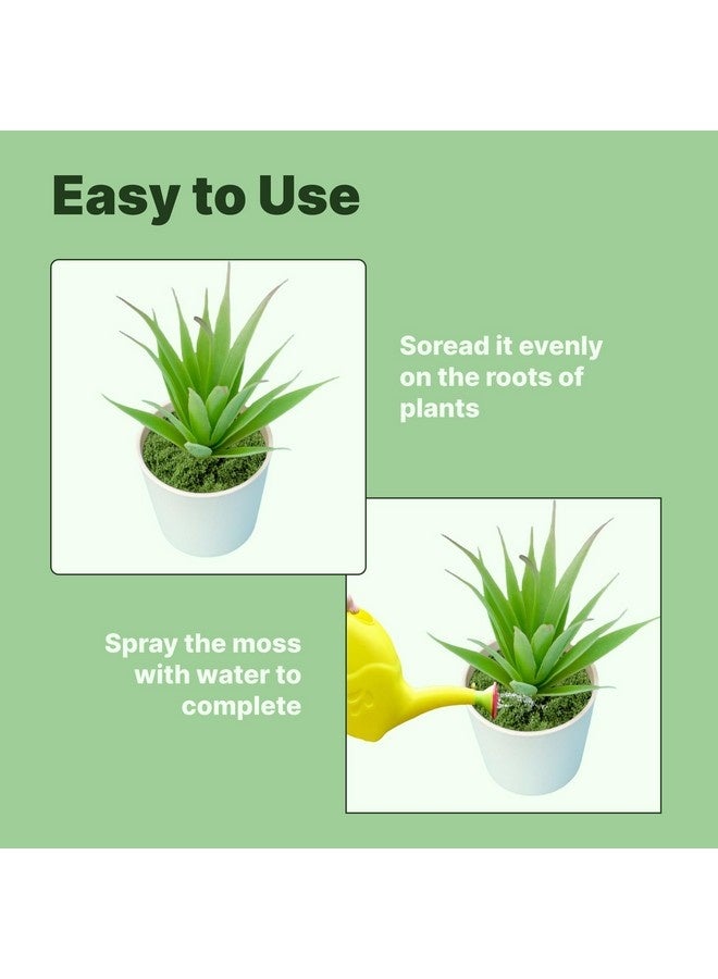 بيوينتي 100 جرام من الطحالب الصناعية المزيفة، عشب صناعي للمناظر الطبيعية، طحالب صناعية للزراعة، فاكس أخضر للنباتات المحفوظة في الأصص (أخضر غامق) - Image 2