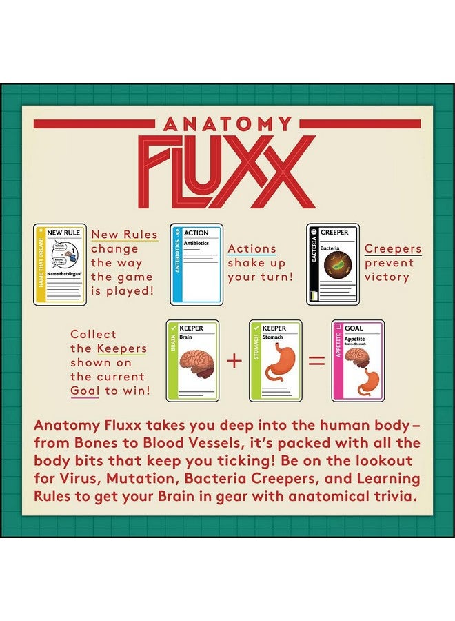 Looney Labs Looney Labs Anatomy Fluxx Card Game - Varied Gameplay and Doctor-Approved Learning  - Image 3