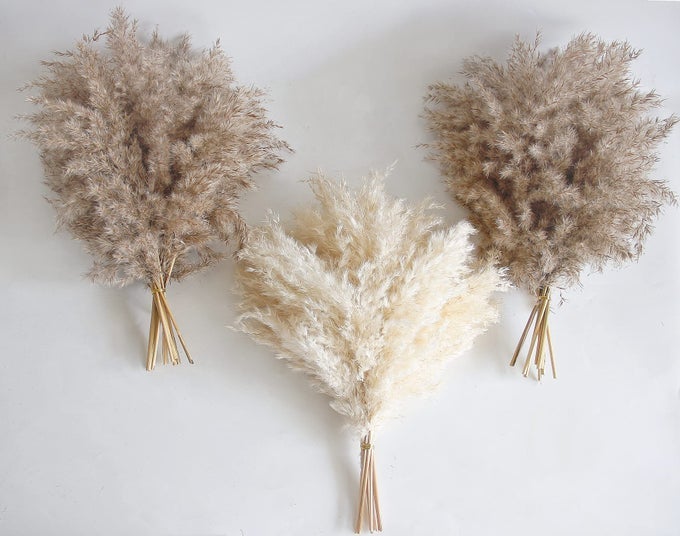 30 PCS BOHO DECOR FLUFFY POMPAS GRASS NATURAL DRY PAMPAS GRASS SMALL SHORT PAMPASS BULK FOR BOHO ROOM DECOR COFFEE TABLE DECOR 17 INCH