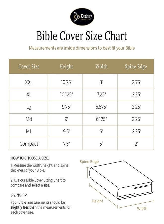 Divinity Boutique Bible Cover Basic Black, XXL (21452) - Image 2